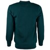 Jersey (Sizes 77-82 & 102-117) - green/grey tek
